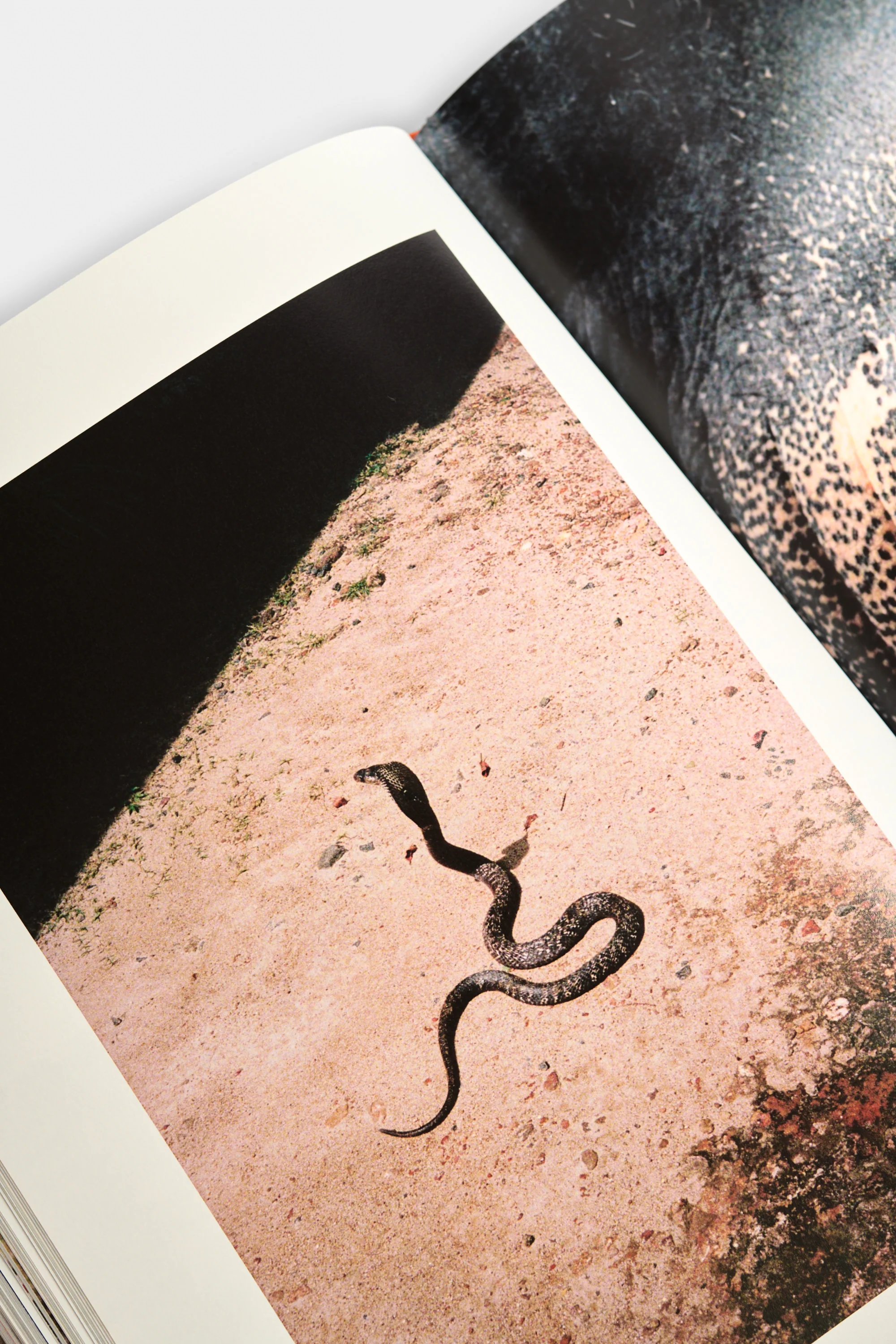 SRI LANKA BOOK - Image 4