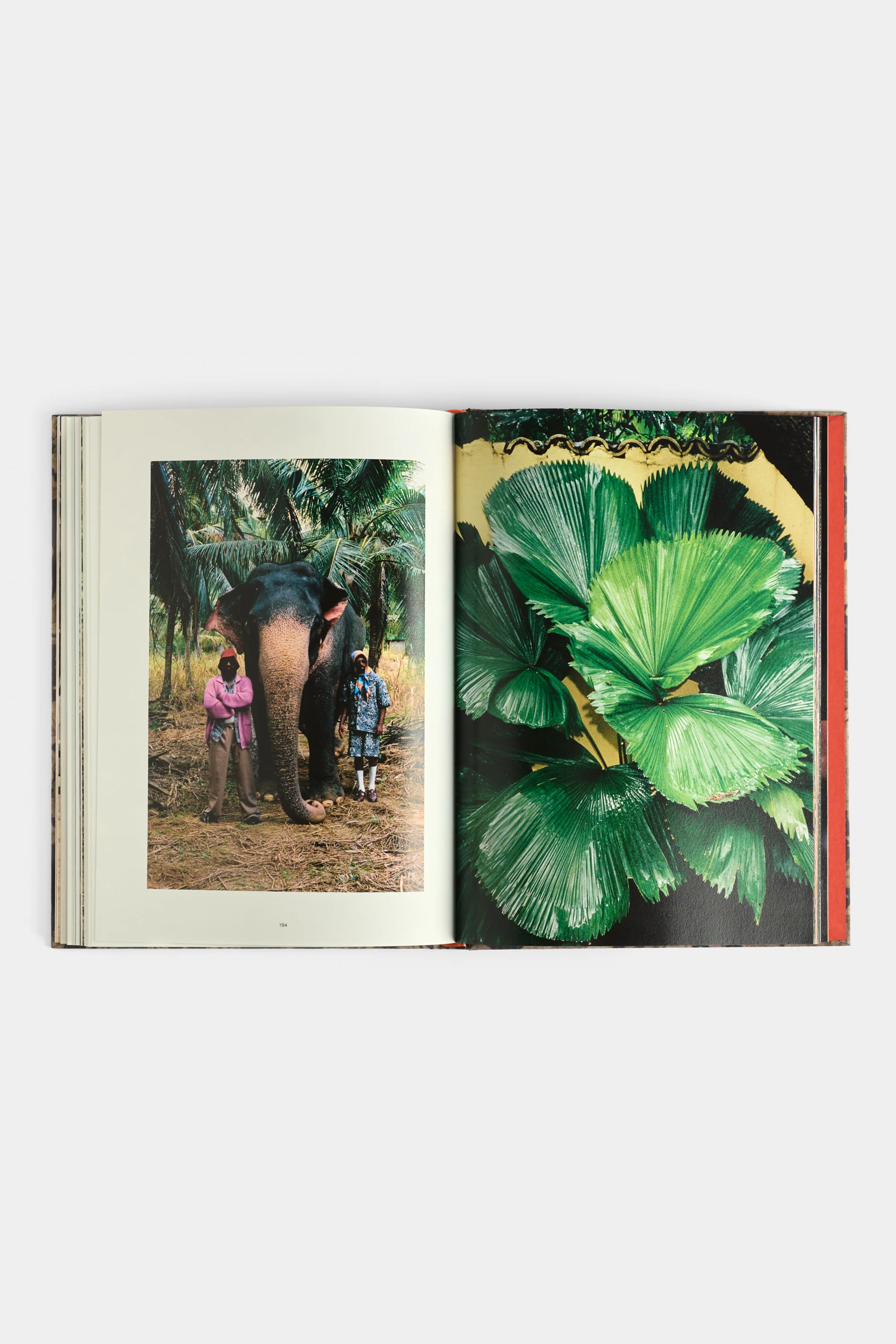 SRI LANKA BOOK - Image 5